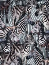 Bedrukte katoen digitale print Zebra