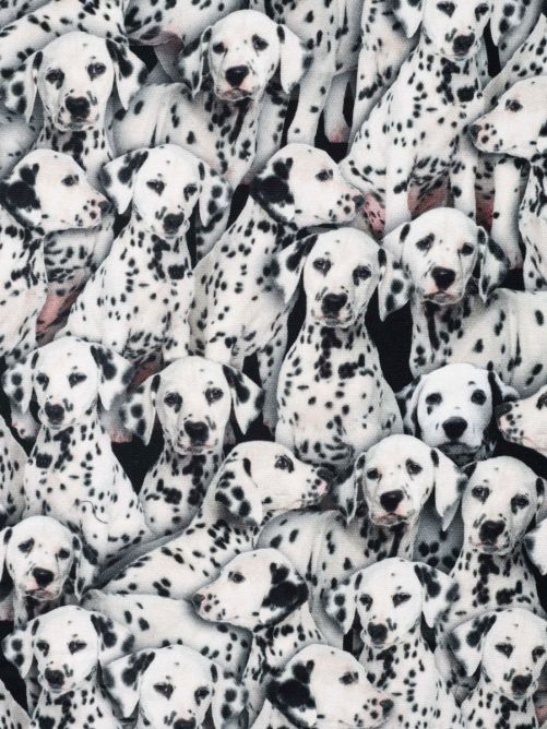 Bedrukte katoen digitale print Dalmatiërs