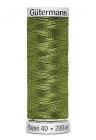 Gütermann Borduurgaren Rayon 200m #1177 lichtgroen
