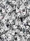 Bedrukte katoen digitale print Dalmatiërs