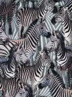 Bedrukte katoen digitale print Zebra